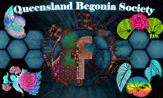 Queensland Begonia Society on Facebook (older)